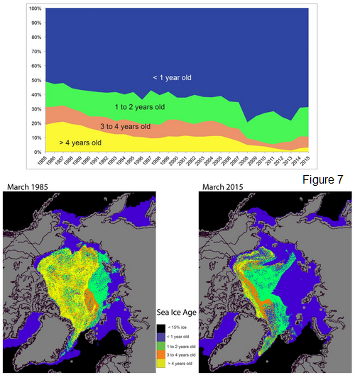 Stock  de vieille glace de l'arctique