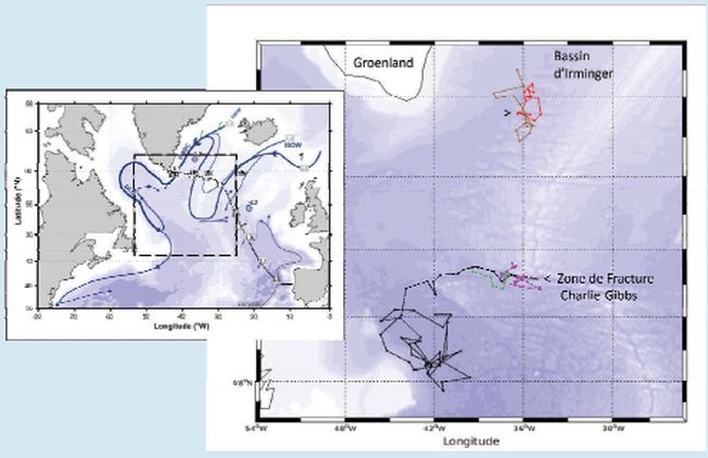 Dploiement des Deep-Arvor en Atlantique Nord