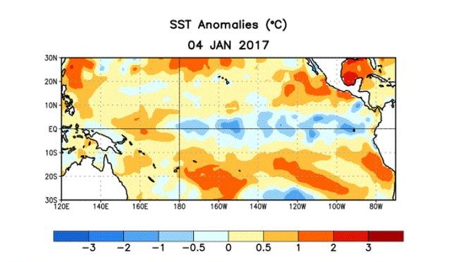 Fig 2 : Anomalies de temprature dans le Pacifique quatorial. 2017