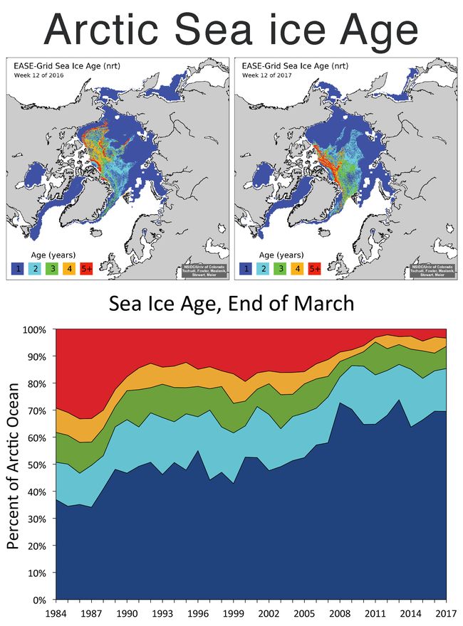 Arctique