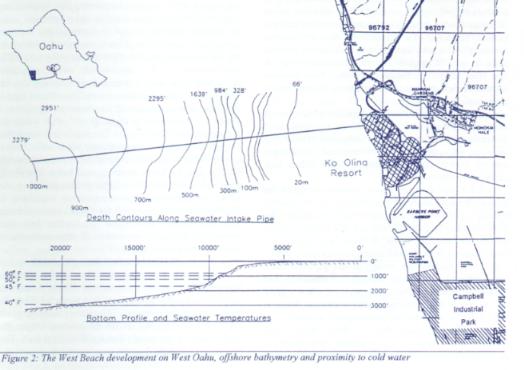 v7n1-3.JPG (28874 bytes)